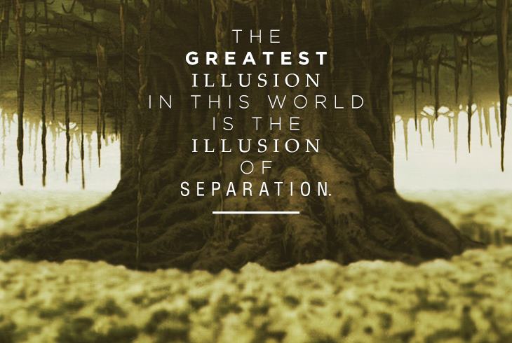 The Illusion Of Separation
